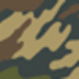 camo.png
